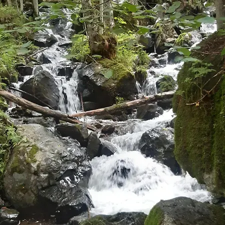 公寓 4 Bett Lavendel *