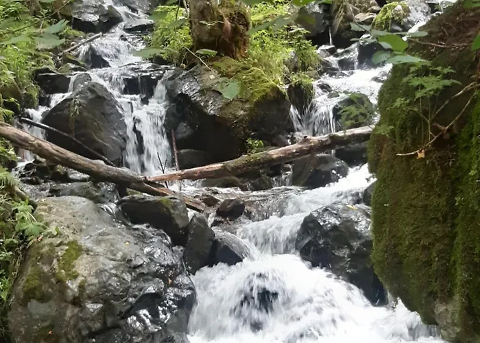 Lägenhet 4 Bett Lavendel *